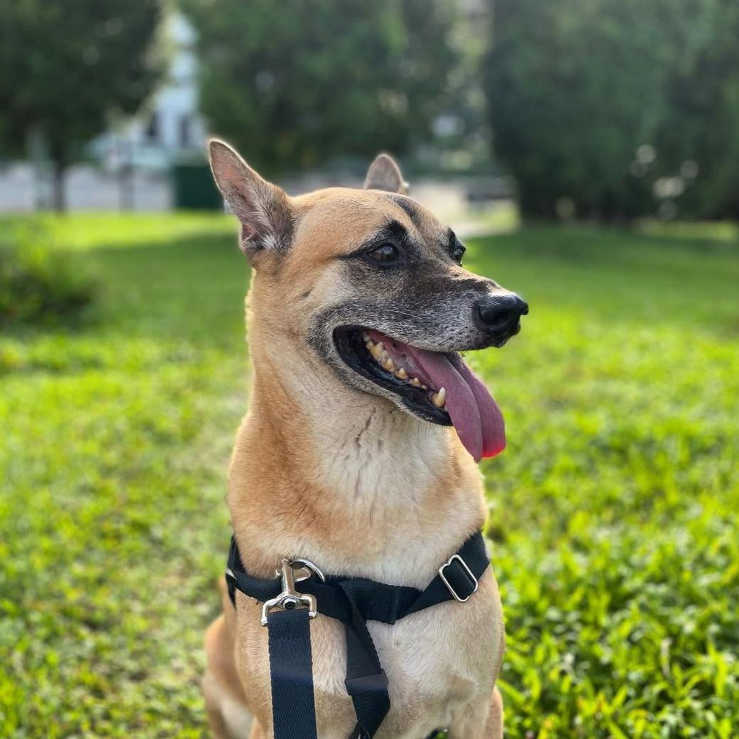 photo_2025-01-17 21.43.22.jpeg