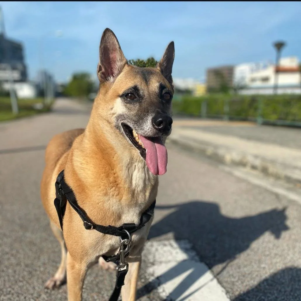 photo_2025-01-17 21.43.23.jpeg