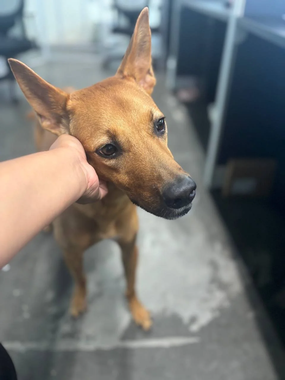 photo_2025-01-17 22.00.13.jpeg