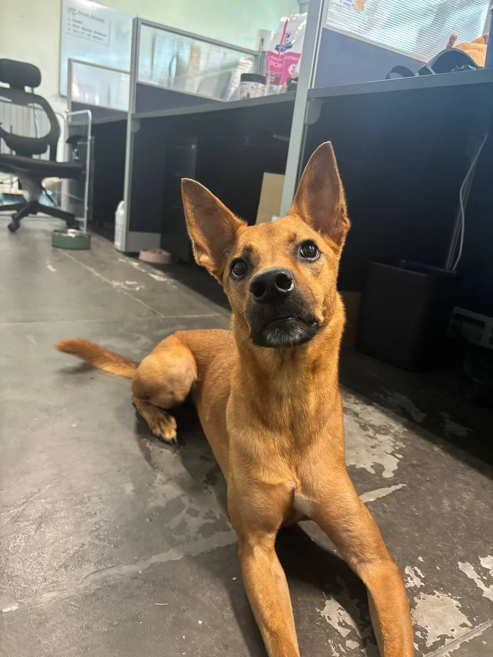 photo_2025-01-17 22.00.19.jpeg