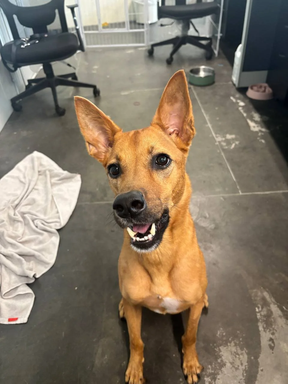 photo_2025-01-17 22.00.24.jpeg