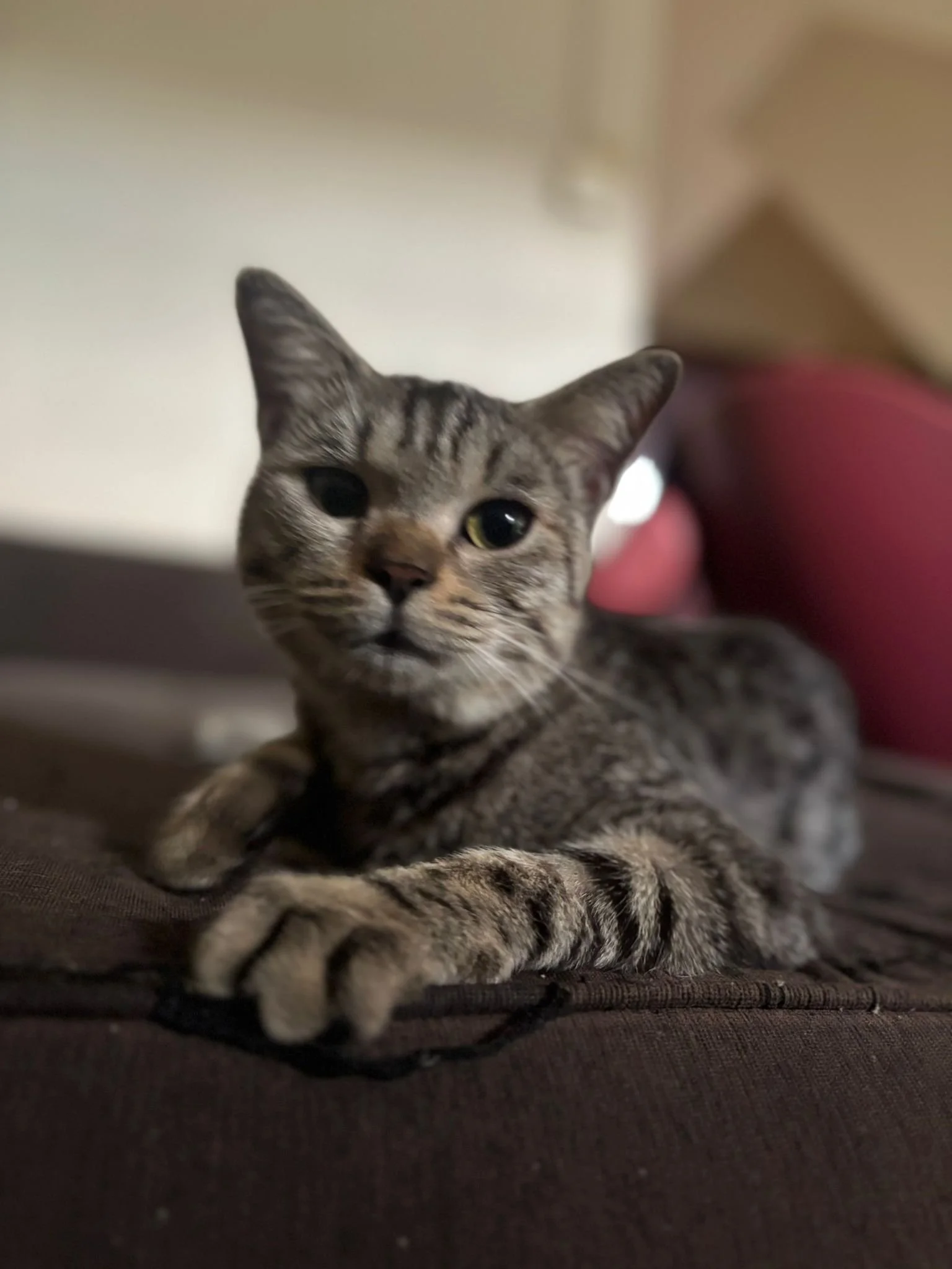 WhatsApp Image 2025-08-16 at 1.45.46 PM.jpeg