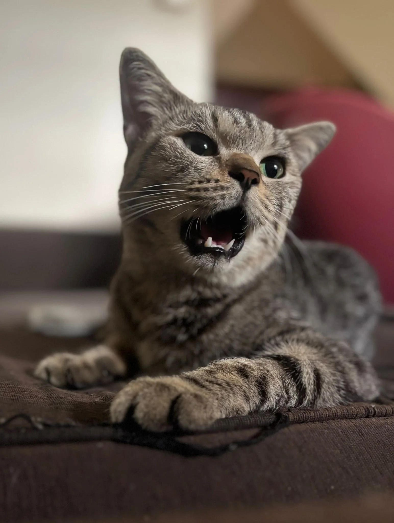 WhatsApp Image 2025-08-16 at 1.45.47 PM.jpeg