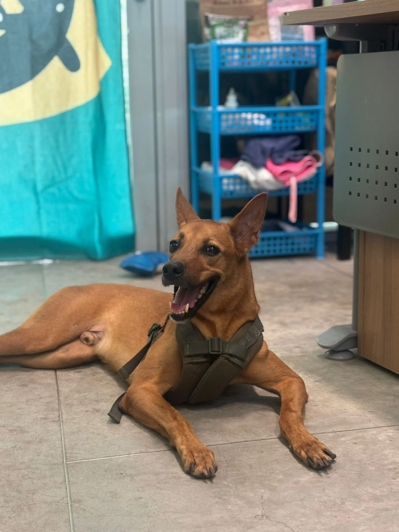 WhatsApp Image 2025-08-16 at 1.46.06 PM.jpeg