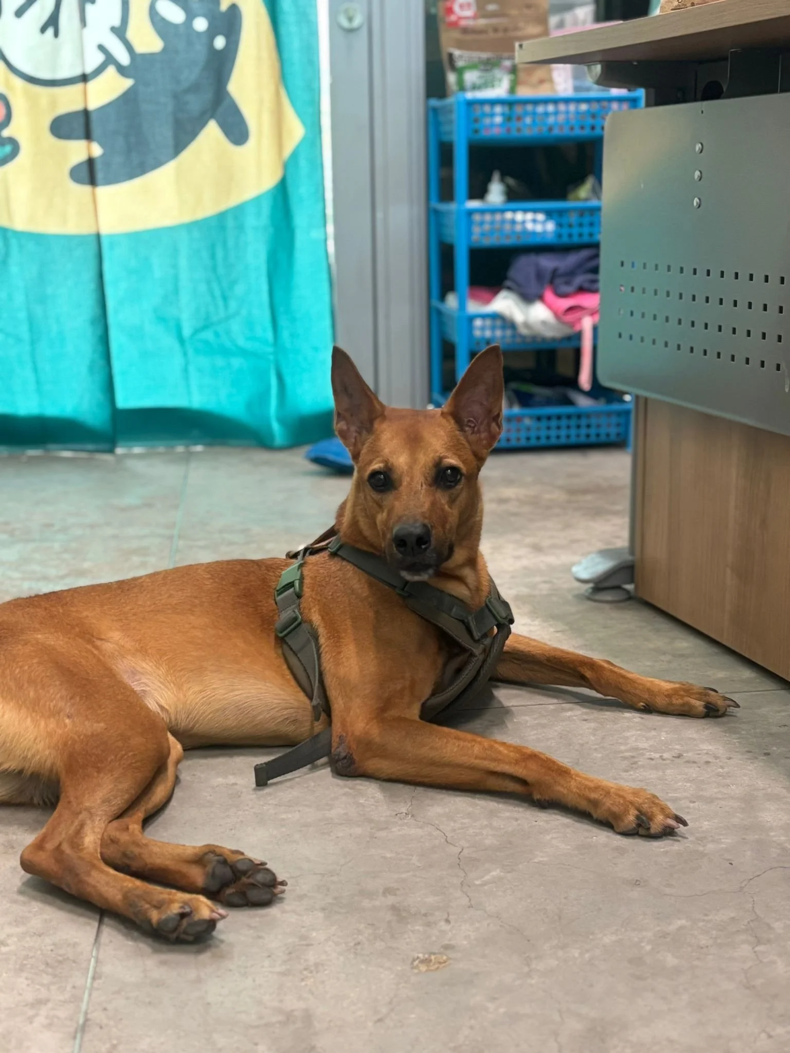 WhatsApp Image 2025-08-16 at 1.46.07 PM.jpeg