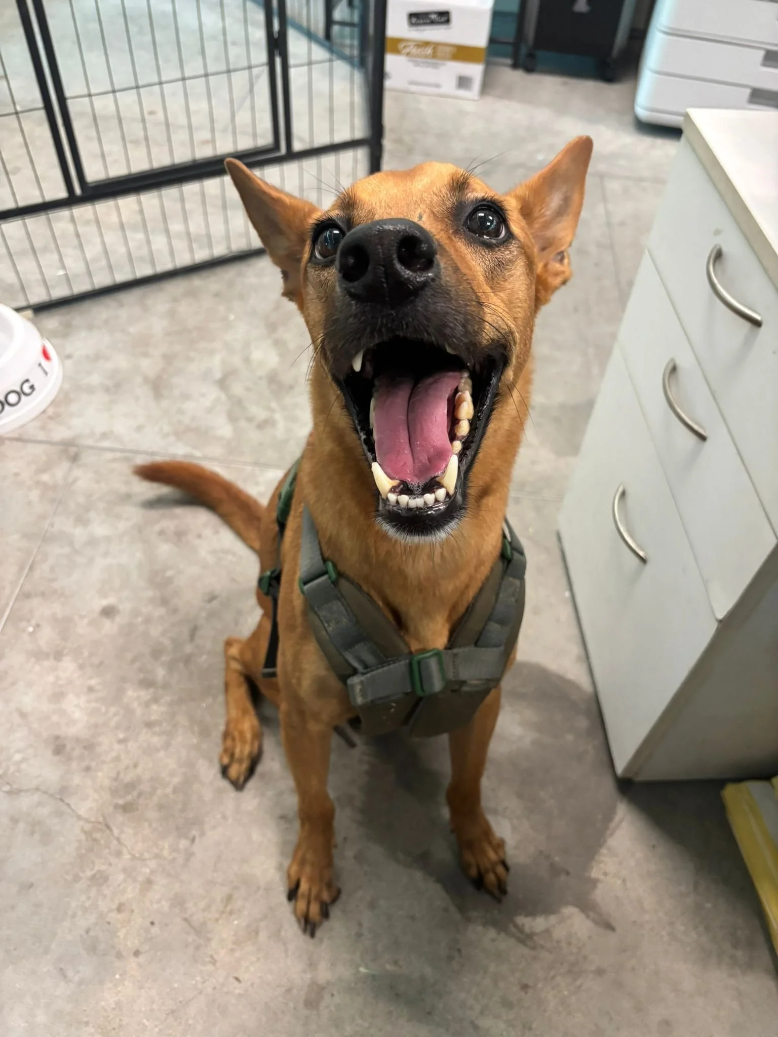 WhatsApp Image 2025-08-16 at 11.39.38 AM.jpeg