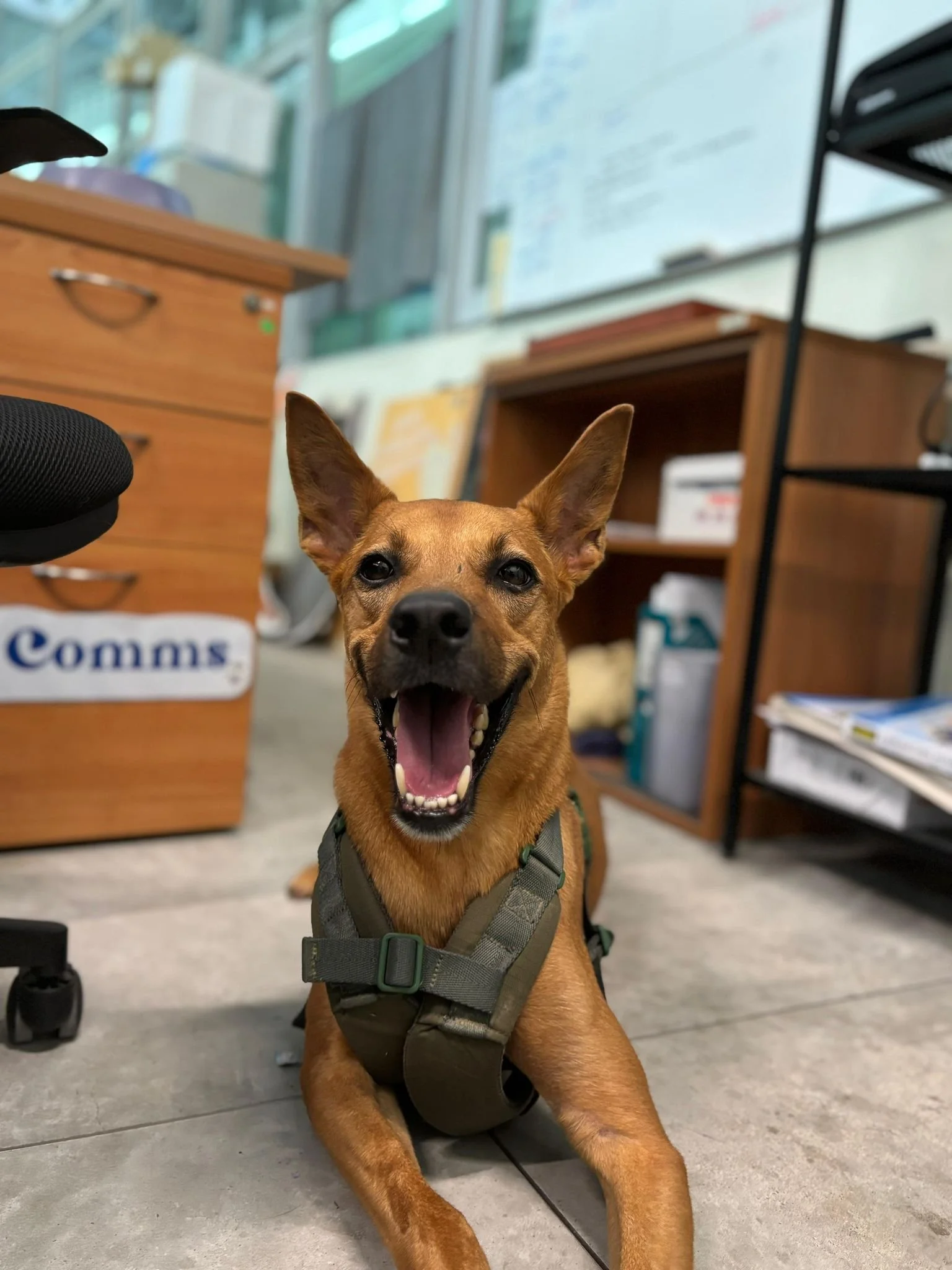 WhatsApp Image 2025-08-16 at 1.45.38 PM.jpeg