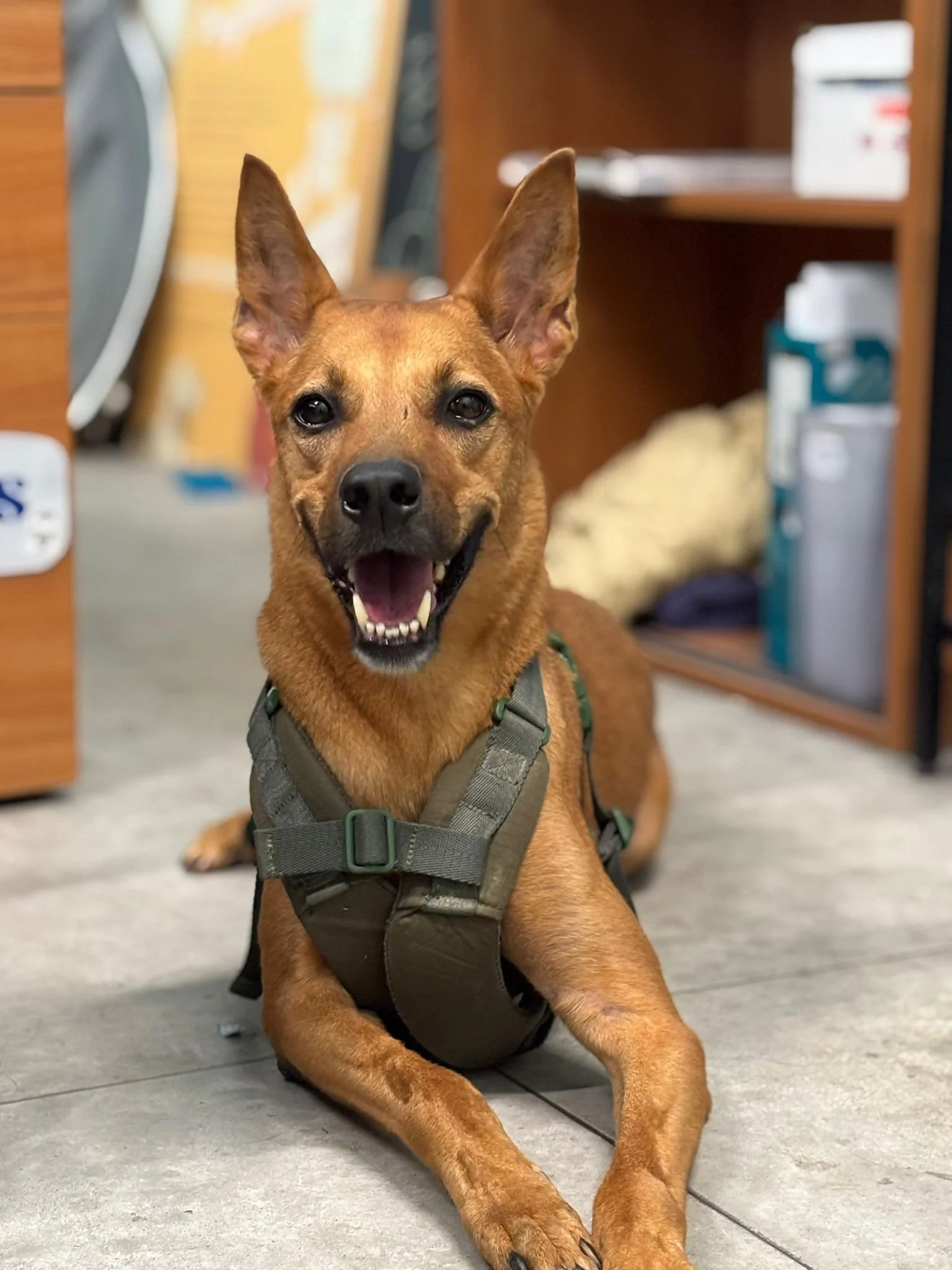 WhatsApp Image 2025-08-16 at 1.45.39 PM.jpeg