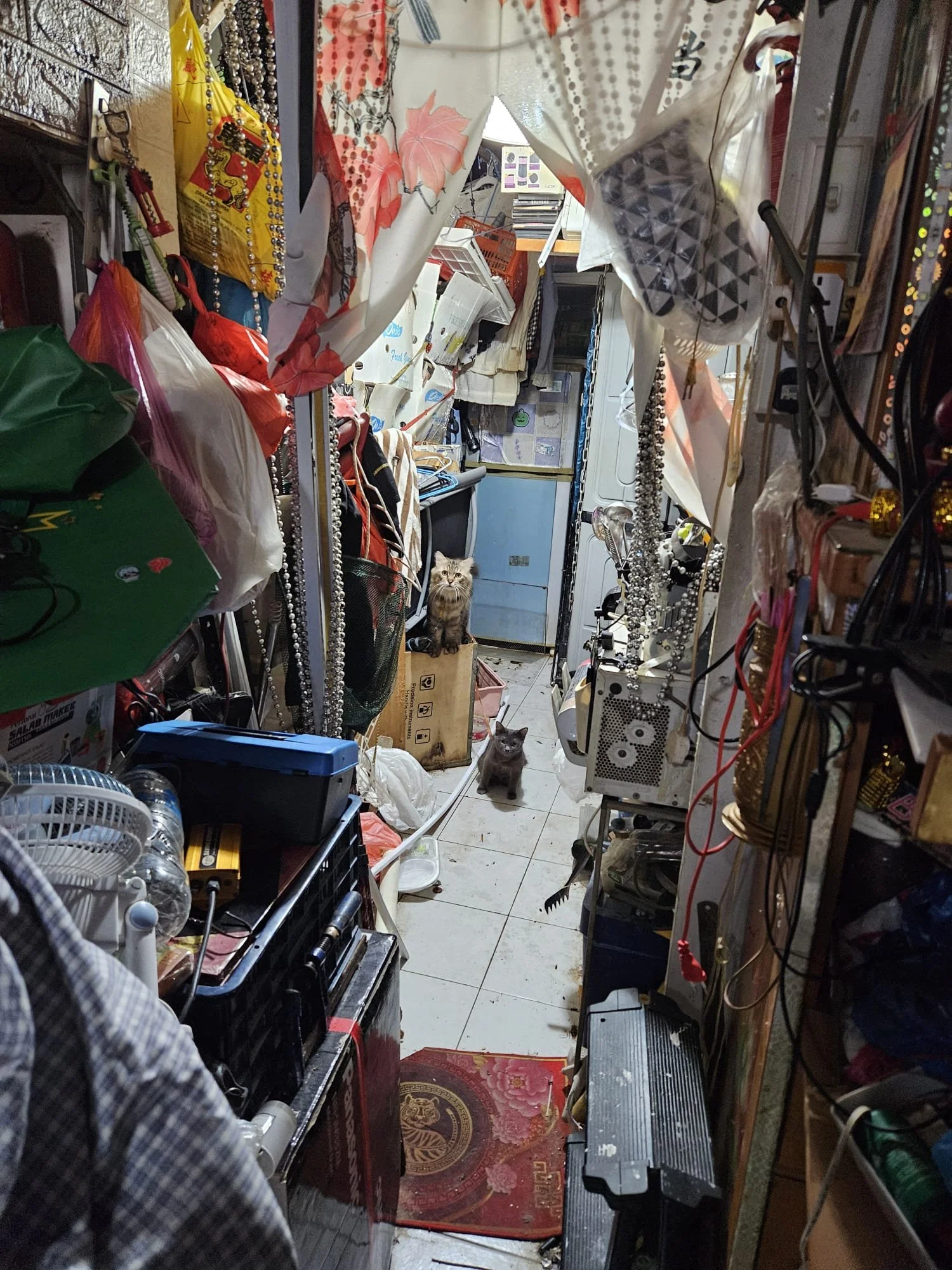 WhatsApp Image 2025-09-11 at 1.10.14 PM (1).jpeg