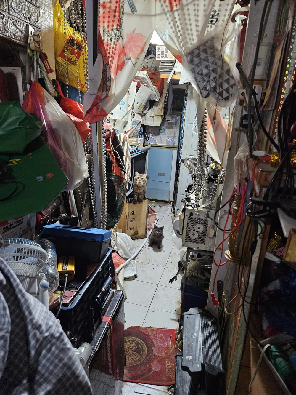 WhatsApp Image 2025-09-11 at 1.10.14 PM (1).jpeg