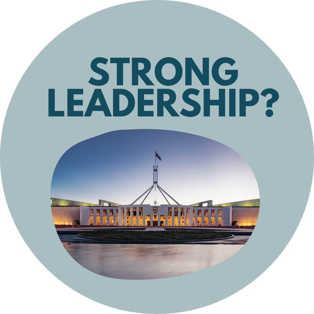 Do we really want "strong leadership"?