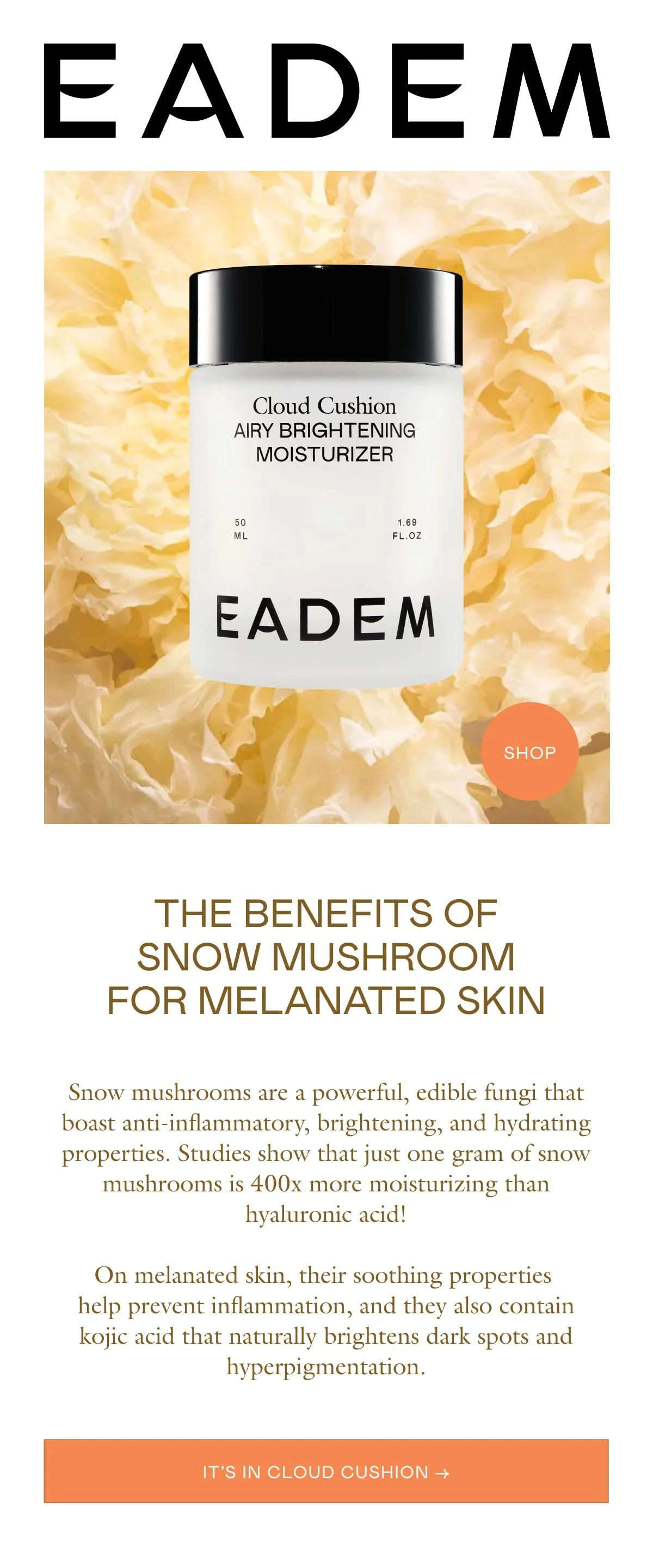 snow mushroom newsletter.jpg