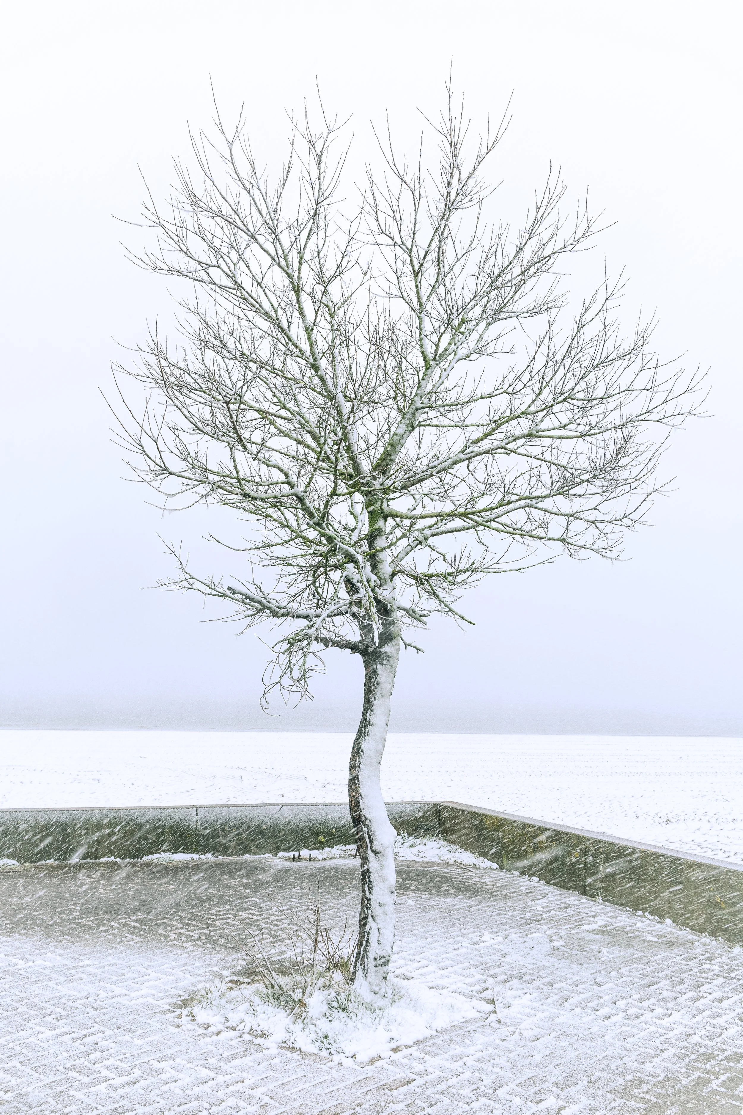 FPJHW_Lemmer_Sneeuw_30032022_-7.jpg