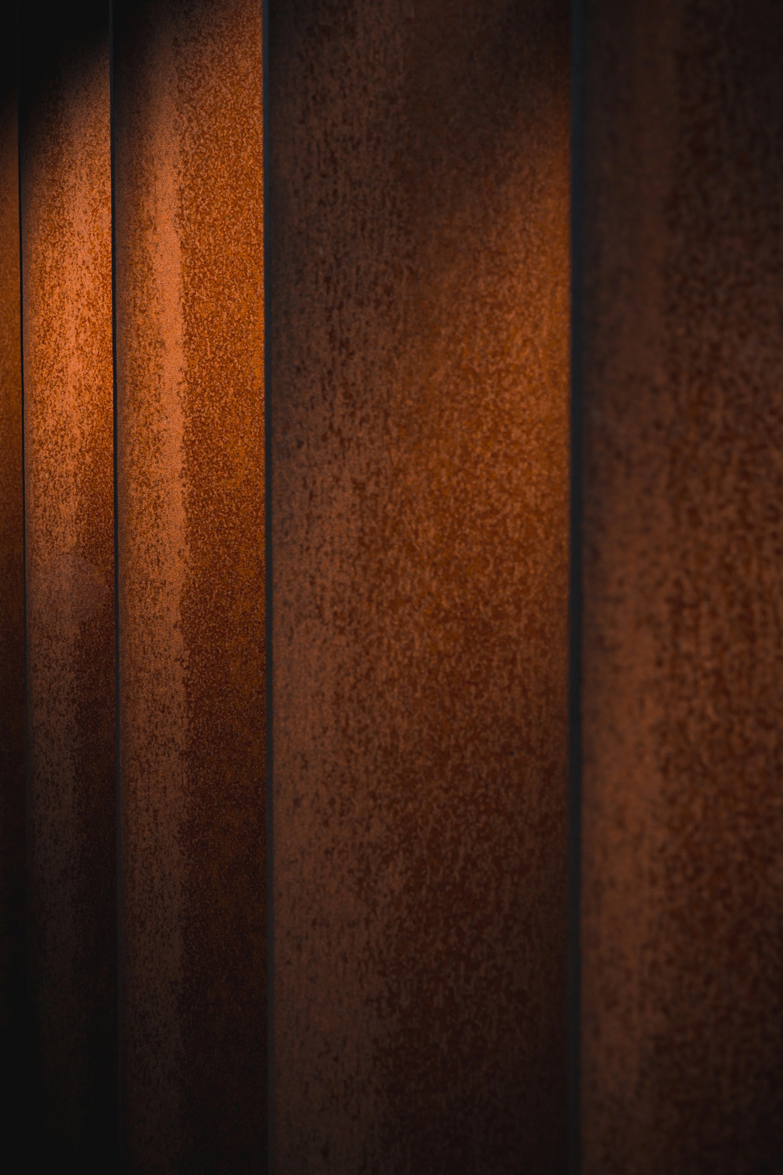 FPJHW_13042021_Blokhuis_LR_000-4.jpg