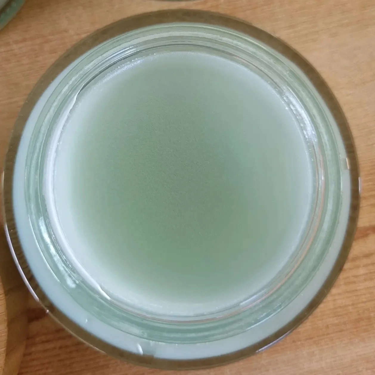 blue tansy balm.jpg