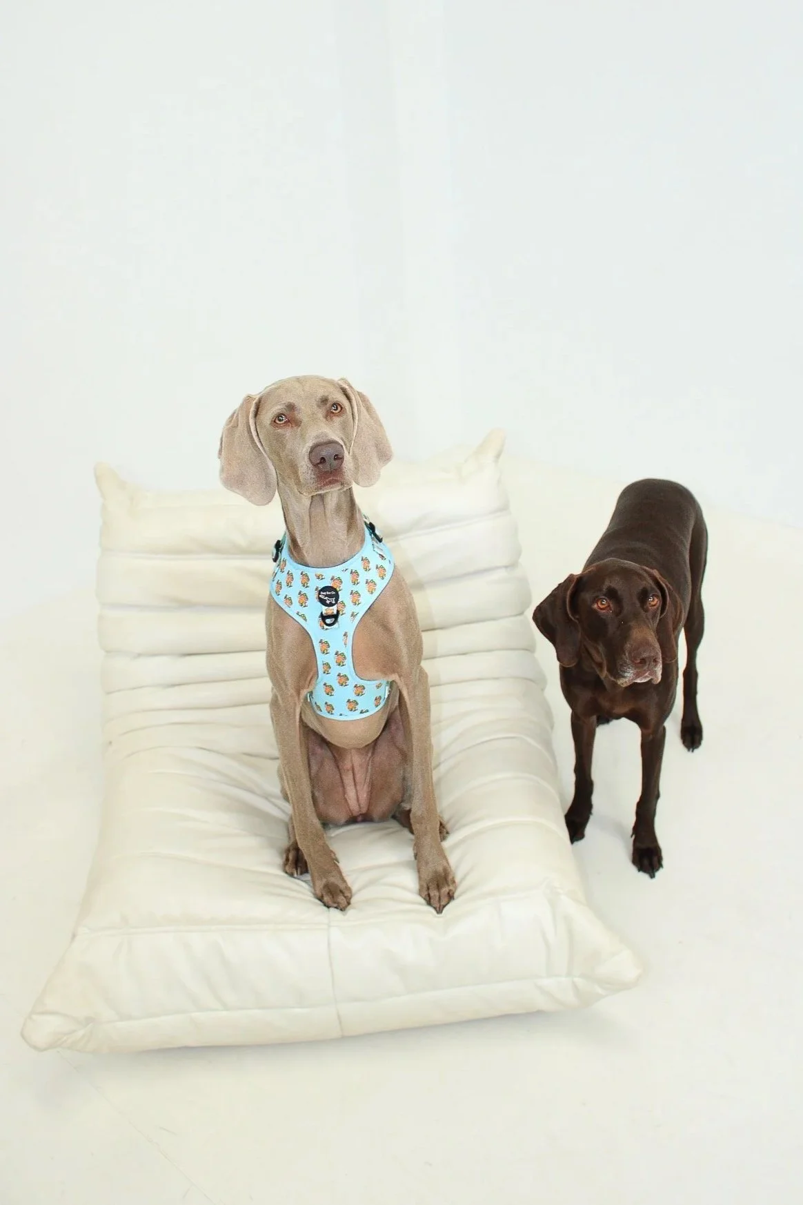 PrecinctPhotoshoot1-2.jpg