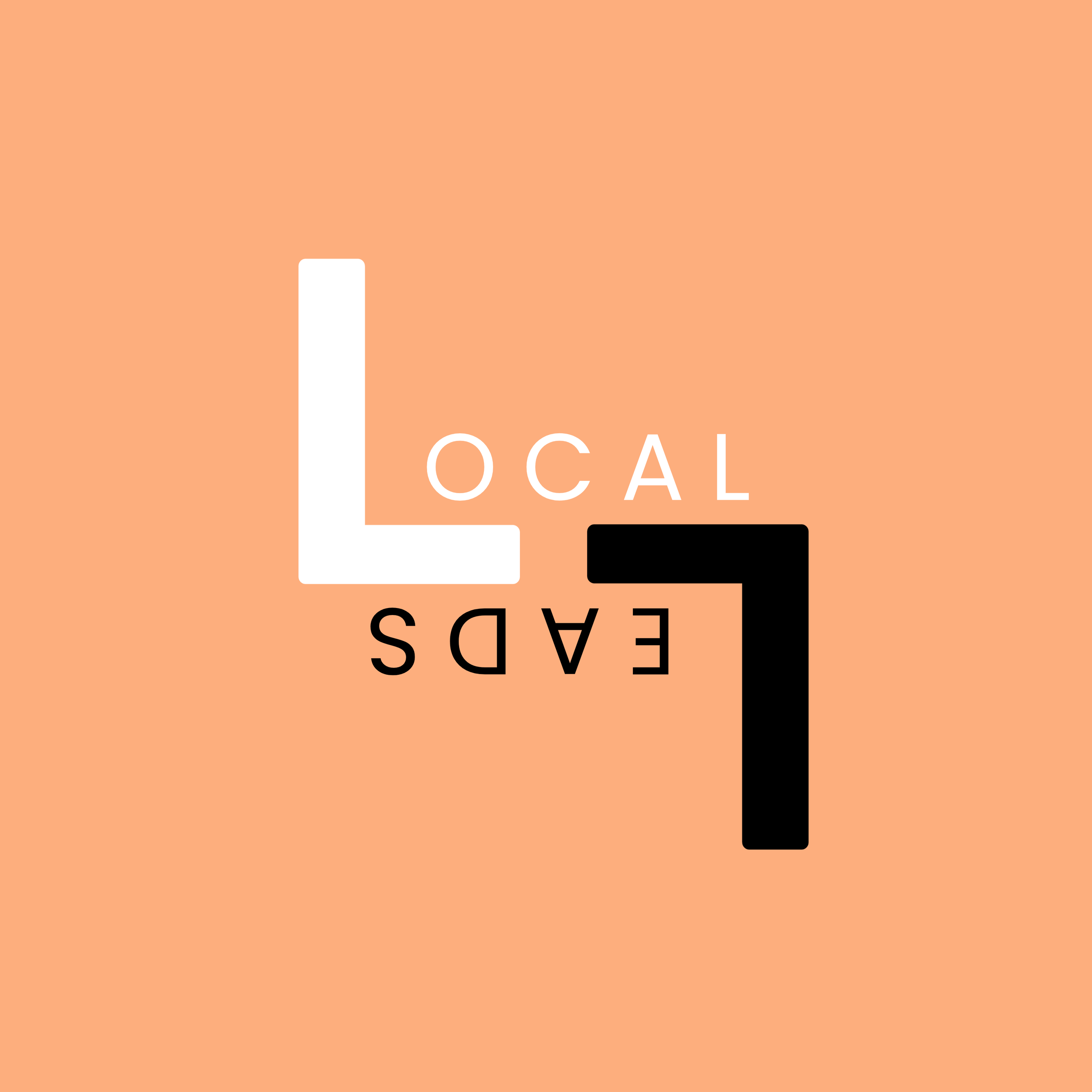 LOGO of web developer agency lletleads
