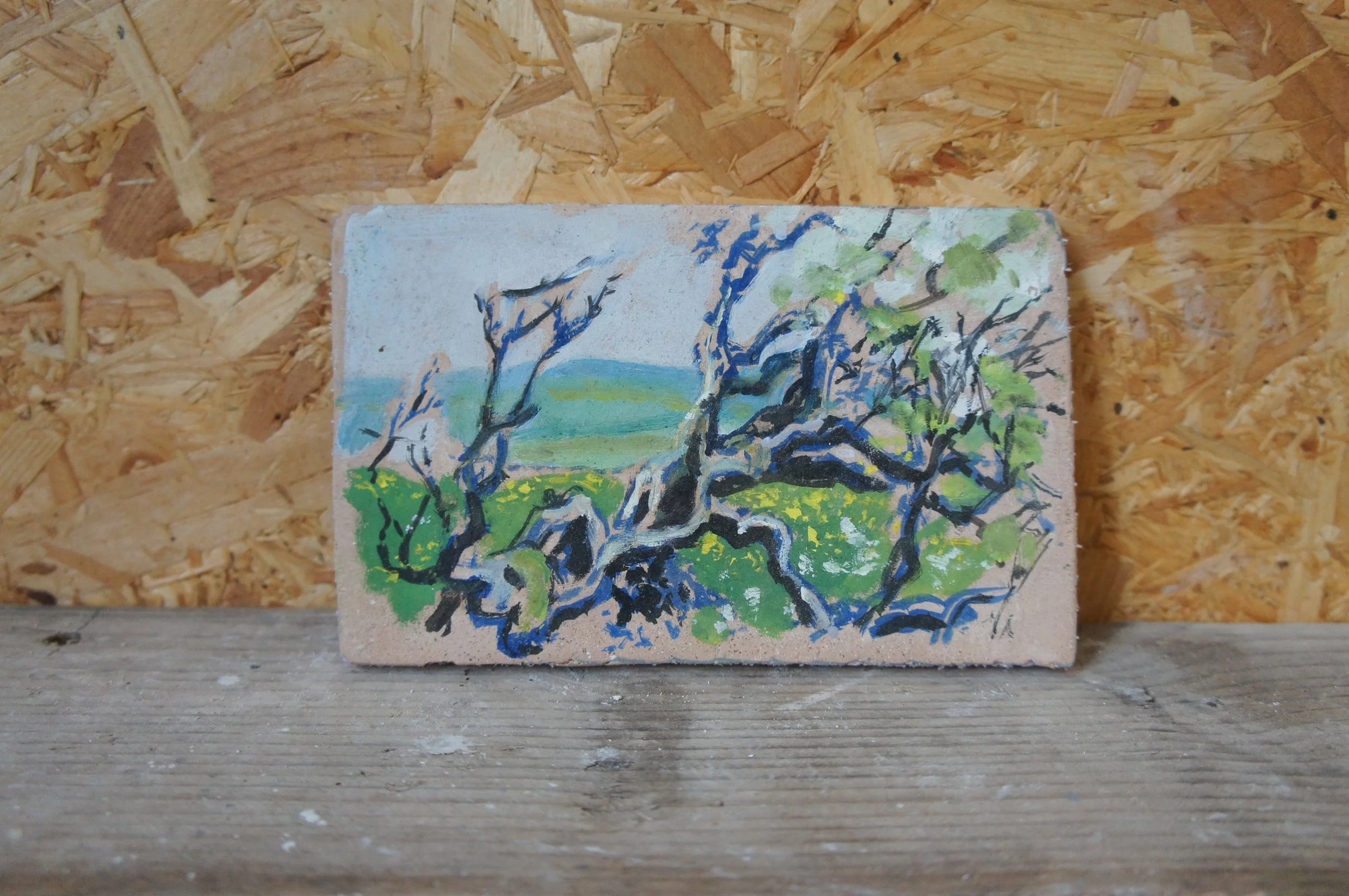 'Gnarly'