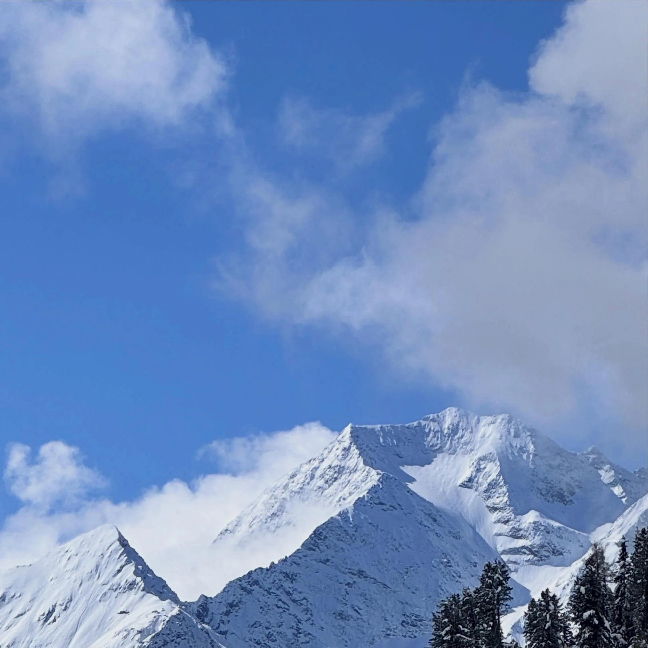🏔️😍🤩Die Eisheiligen haben Gas gegeben 😉
.
.
.
.
#appartements_sevensummits #stubai #tirol