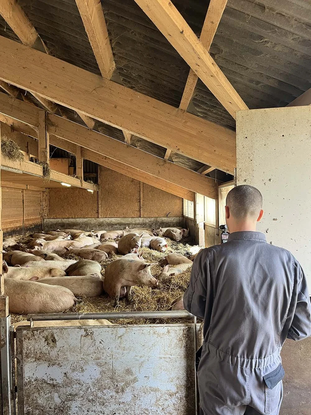 D-USYS AVIAS Open access archive for animal behavior_BTS_026.jpg