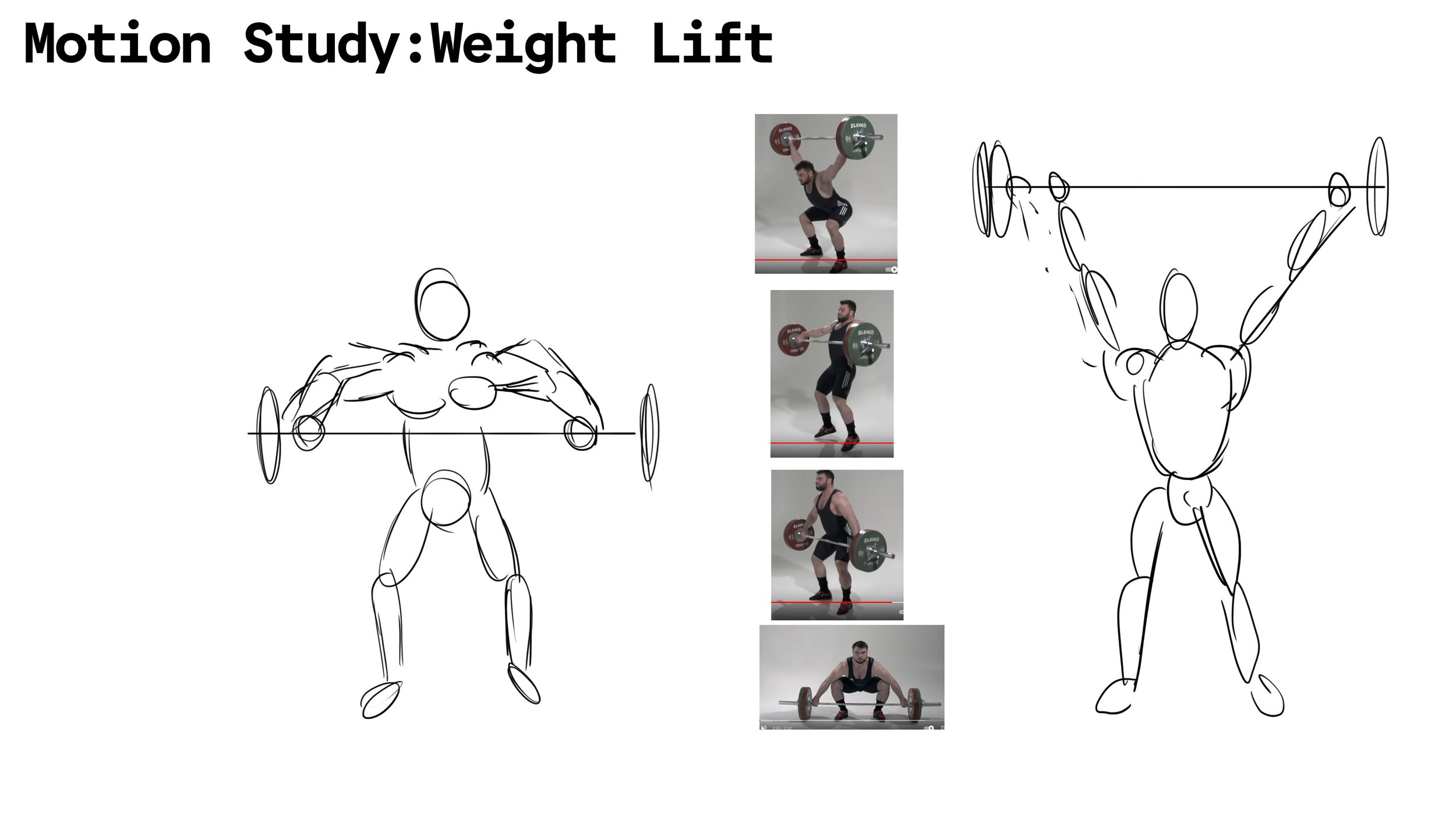 D-HEST Exercise Phisiology Character Motion Study Weight Lift.jpg