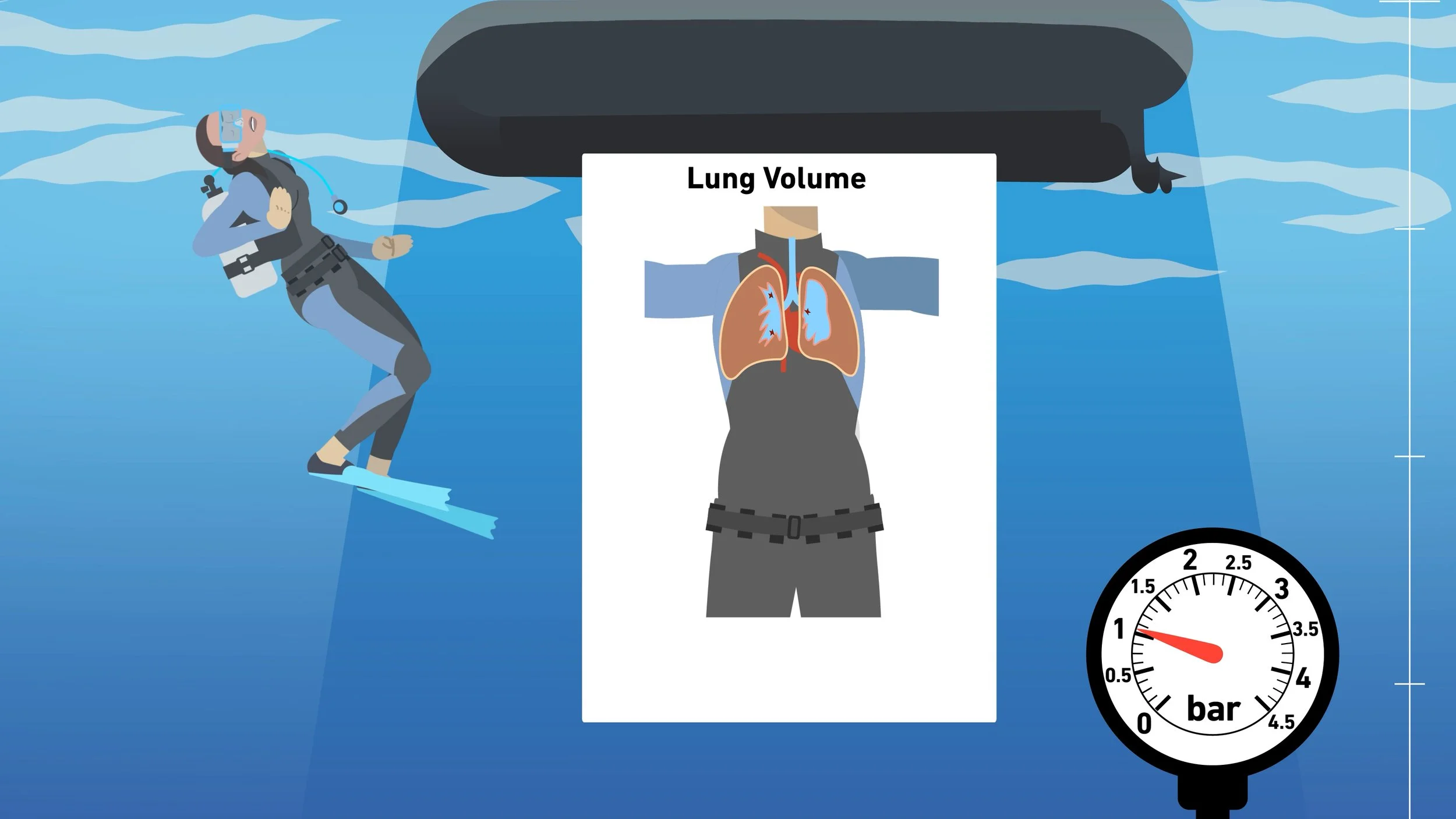 D-HEST Exercise Phisiology Diving_30.jpg