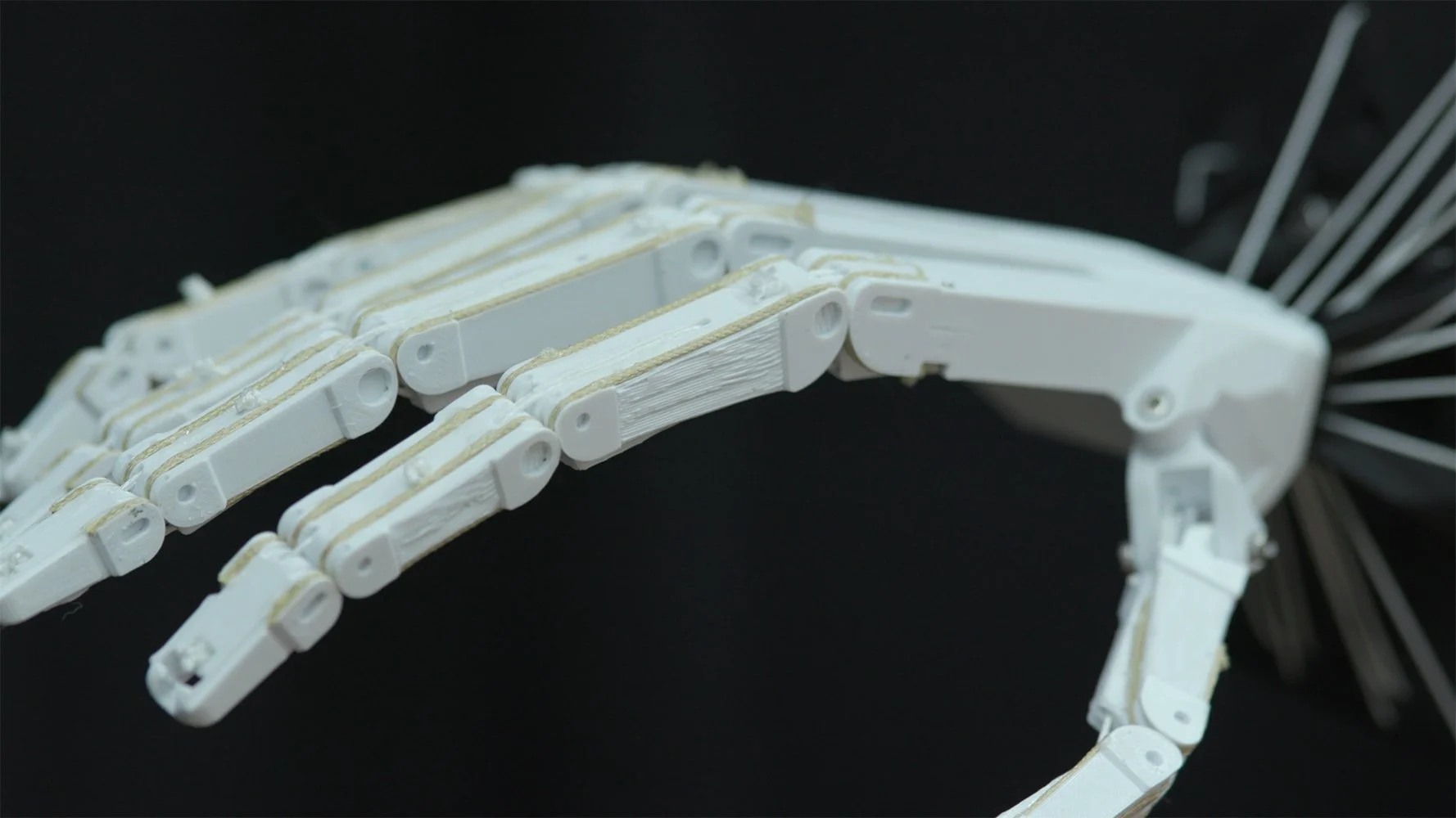 D-MAVT Soft Robotics (15).jpg