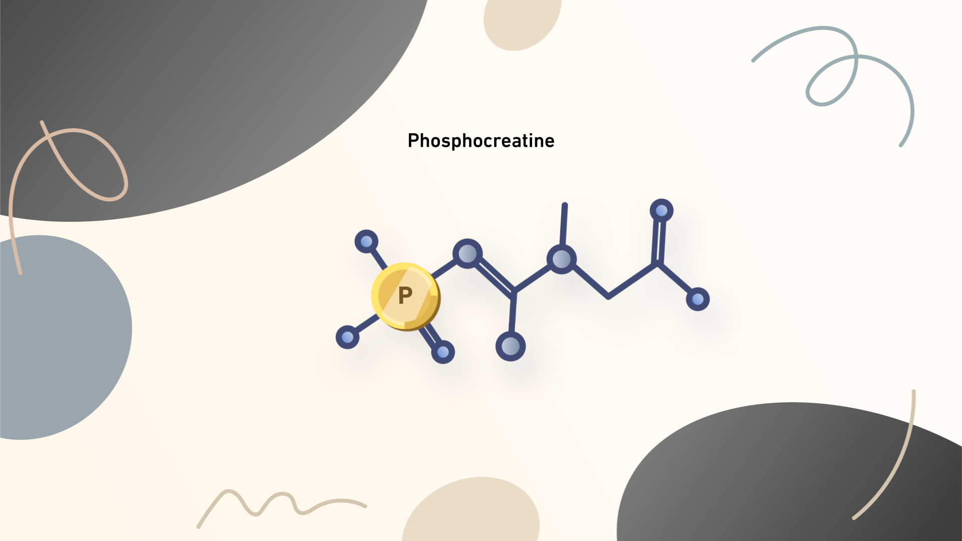 D-HEST Exercise Phisiology Bioenergetics 3.png