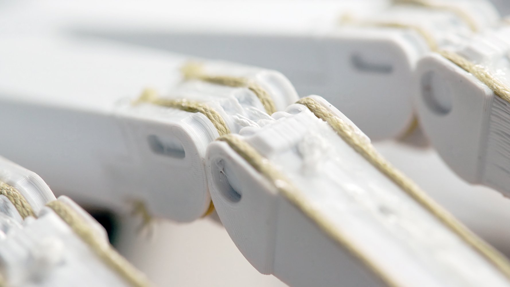 D-MAVT Soft Robotics (3).jpg