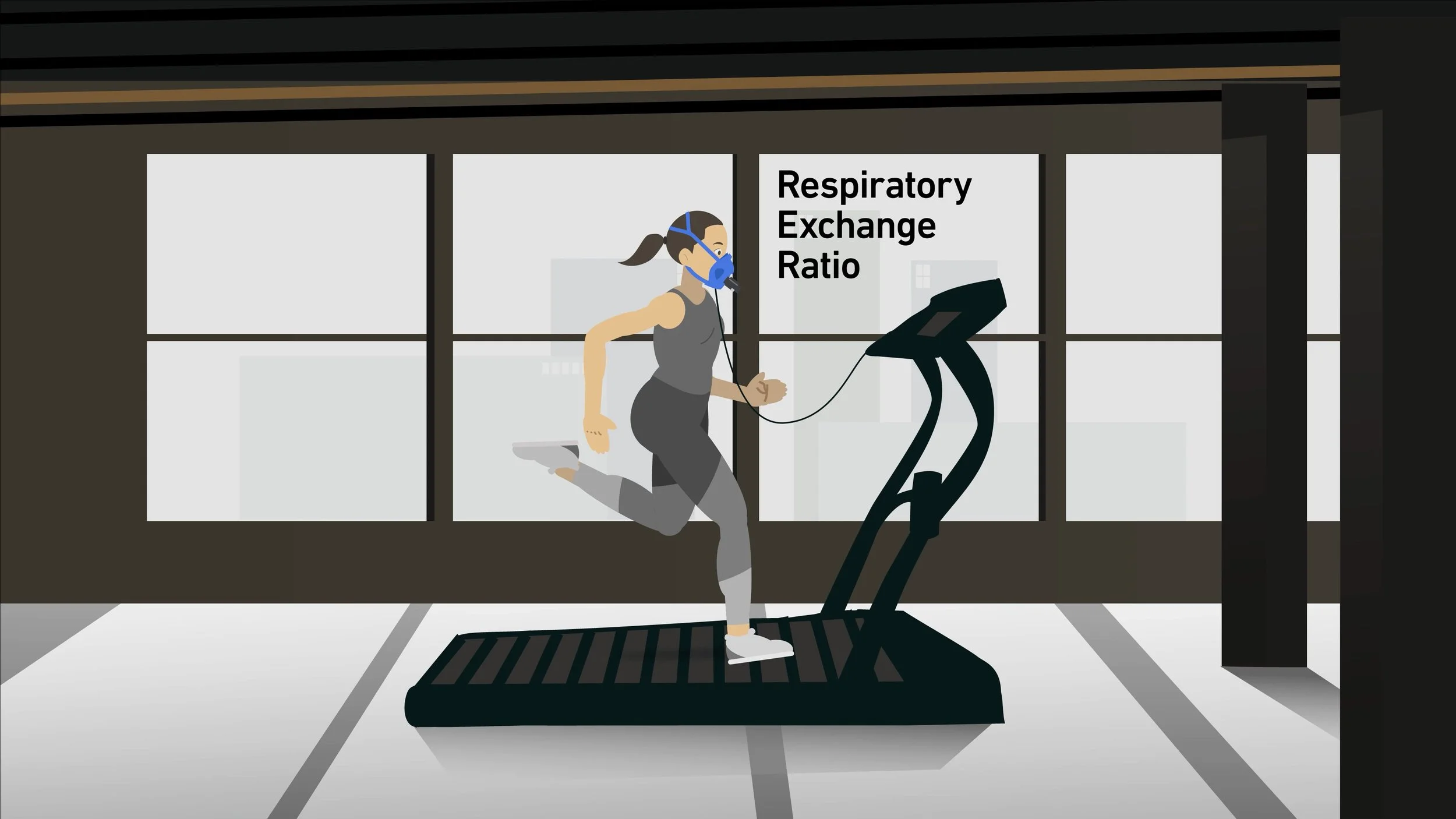 D-HEST Exercise Phisiology Bioenergetics 37.jpg
