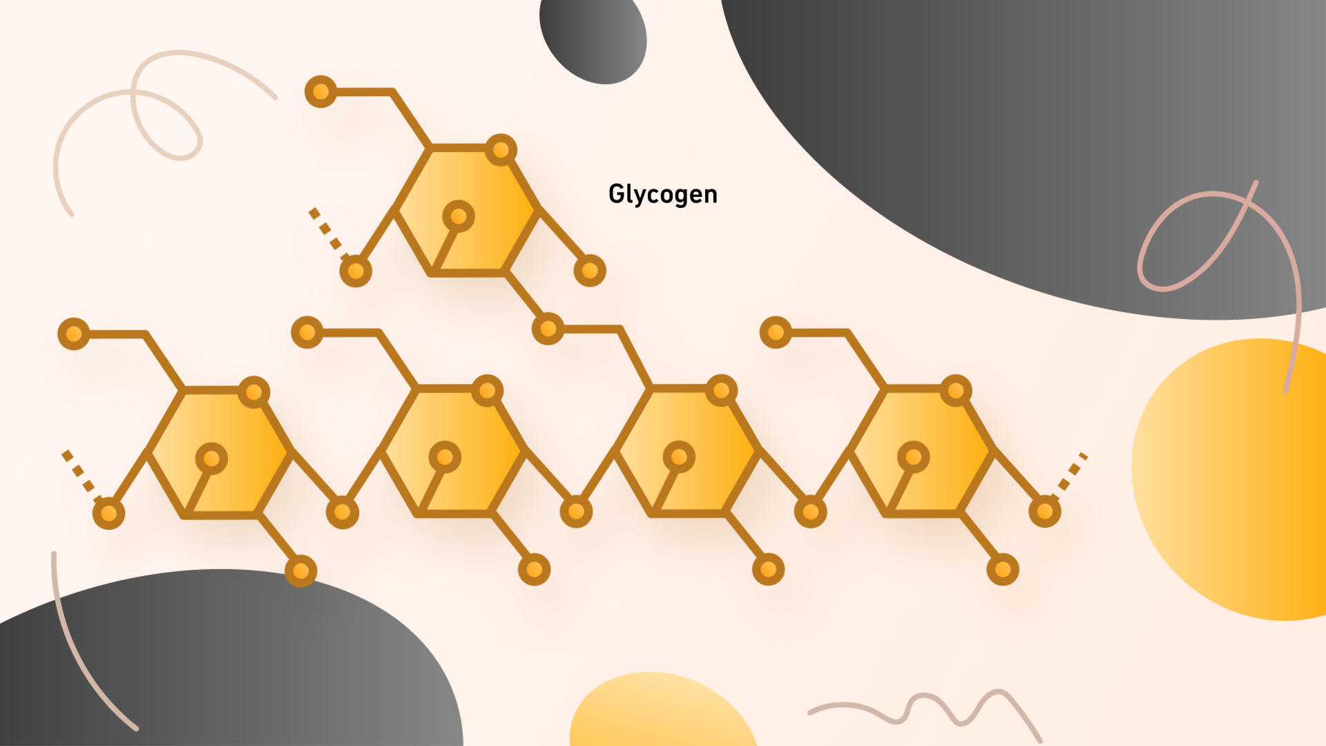 D-HEST Exercise Phisiology Bioenergetics 2.png