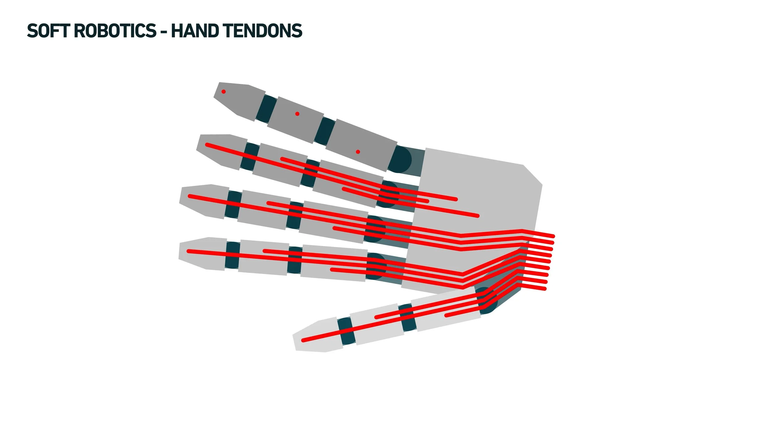 D-MAVT Soft Robotics Graphic(7).jpg