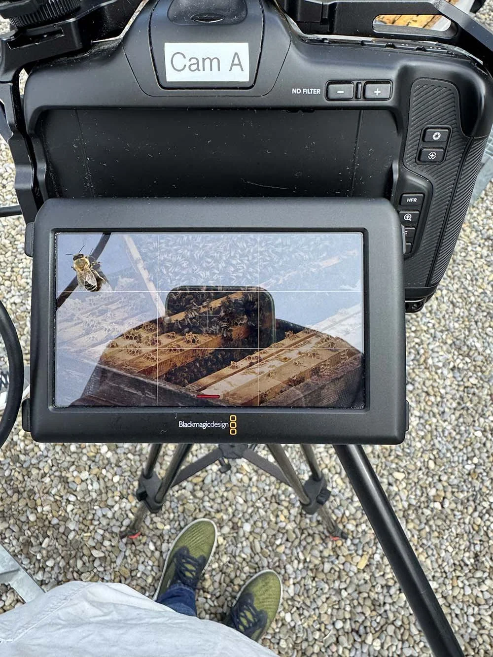 D-USYS AVIAS Open access archive for animal behavior_BTS_035.jpg