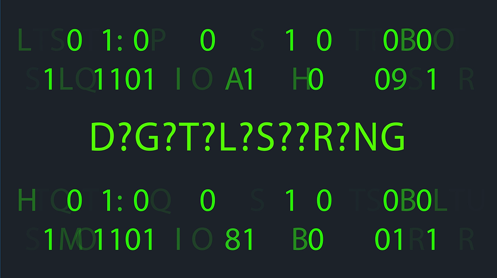 Digital Skills in Higher Education