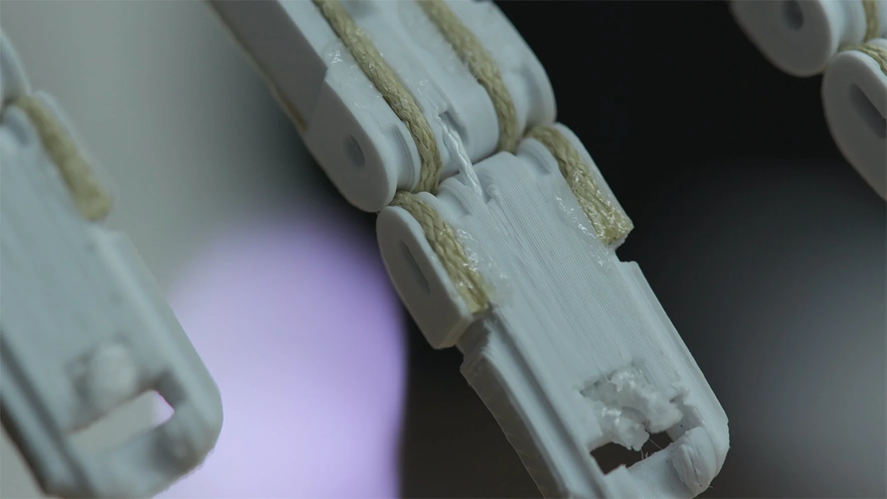 D-MAVT Soft Robotics (14).jpg