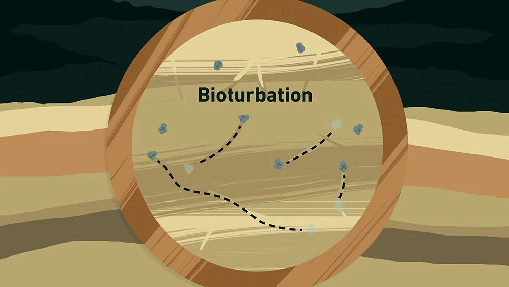 Radionuclides_Bioturbation.00_04_20_07.Still035.jpg