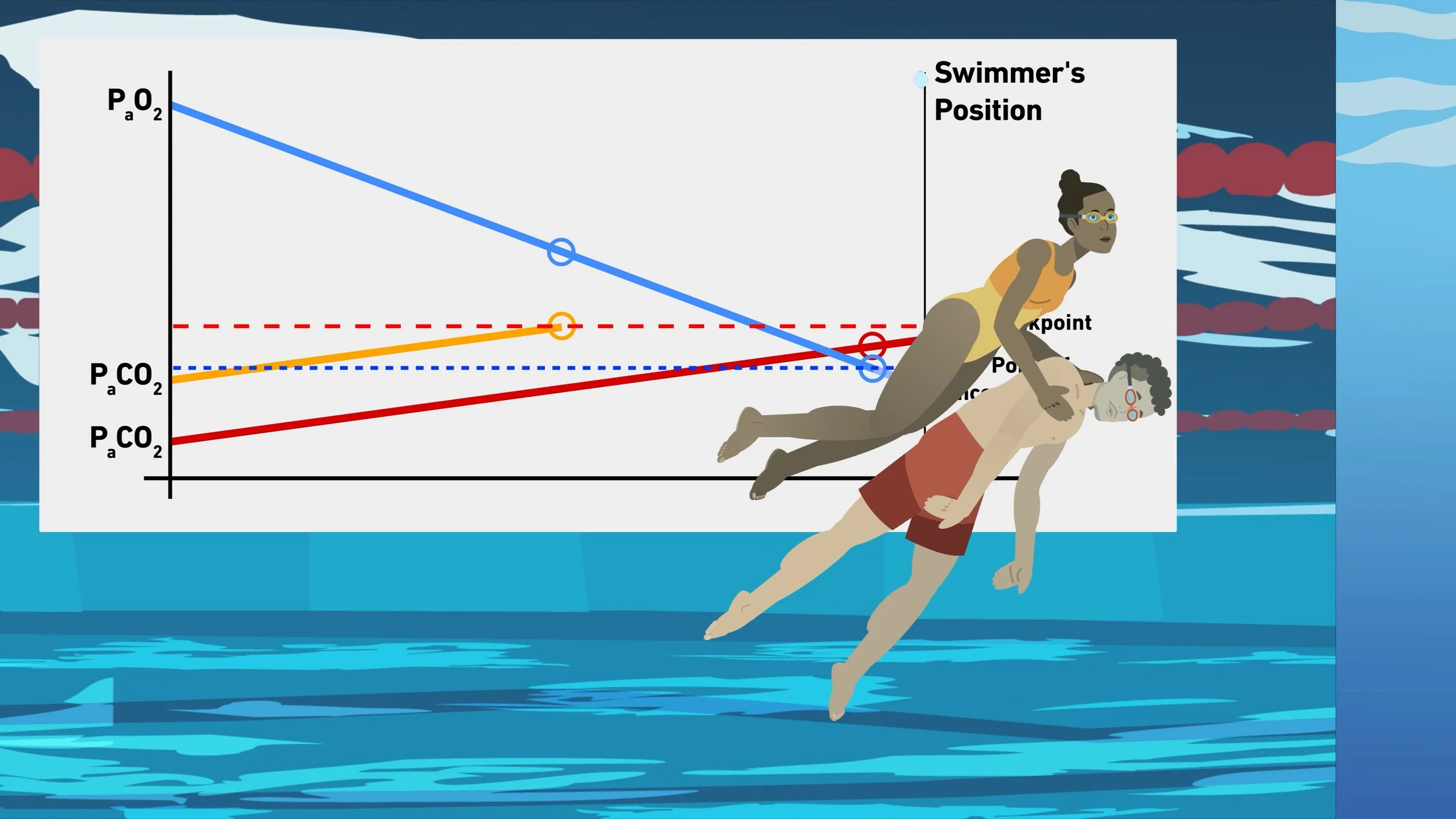 D-HEST Exercise Phisiology Diving_11.jpg