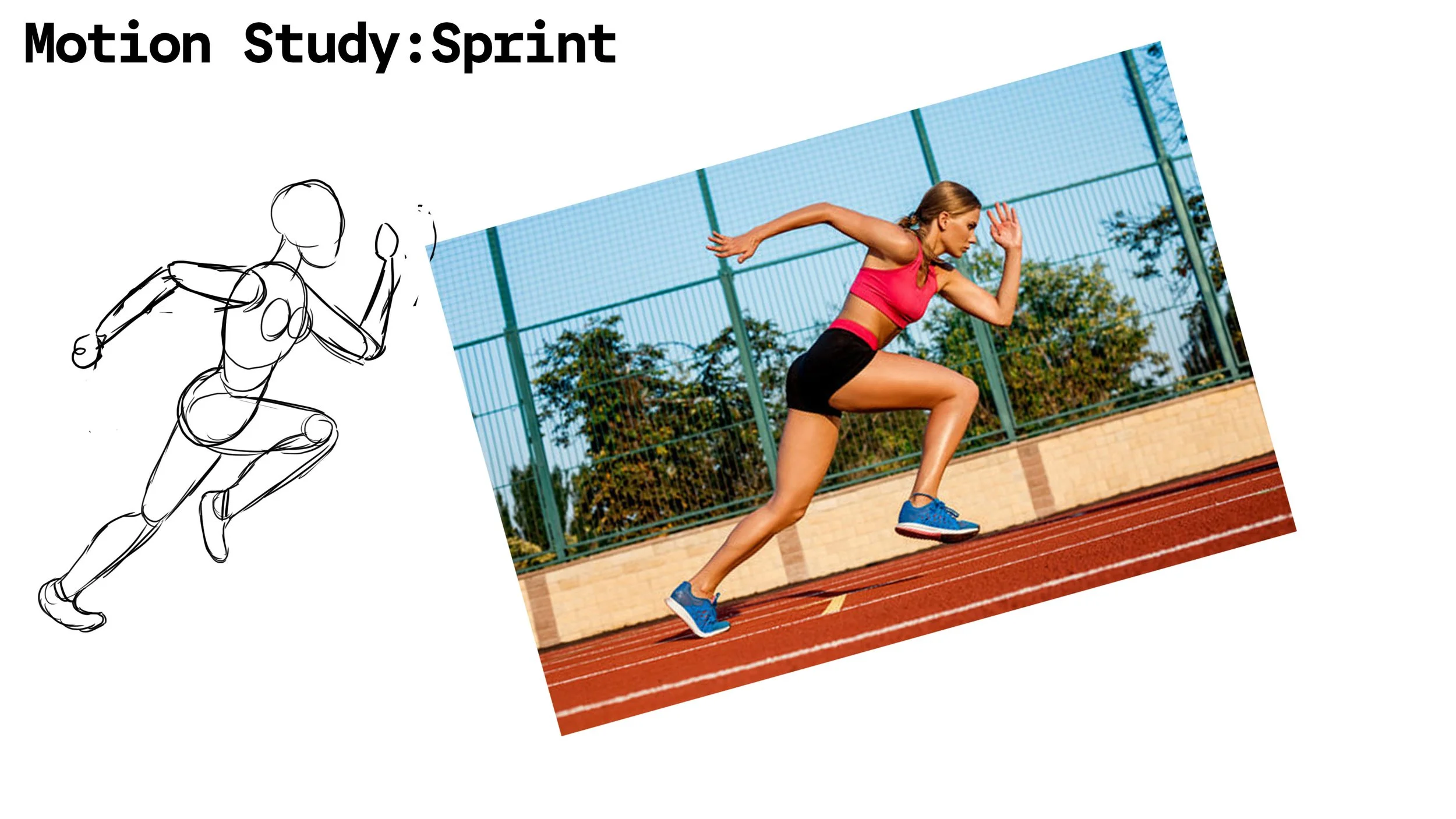 D-HEST Exercise Phisiology Character Motion Study Sprint.jpg