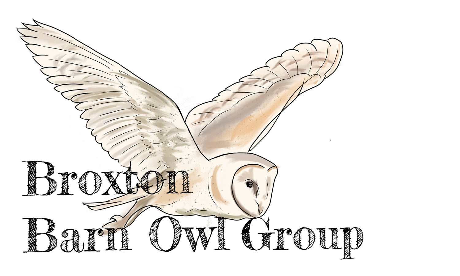 Broxton Barn Owl Group