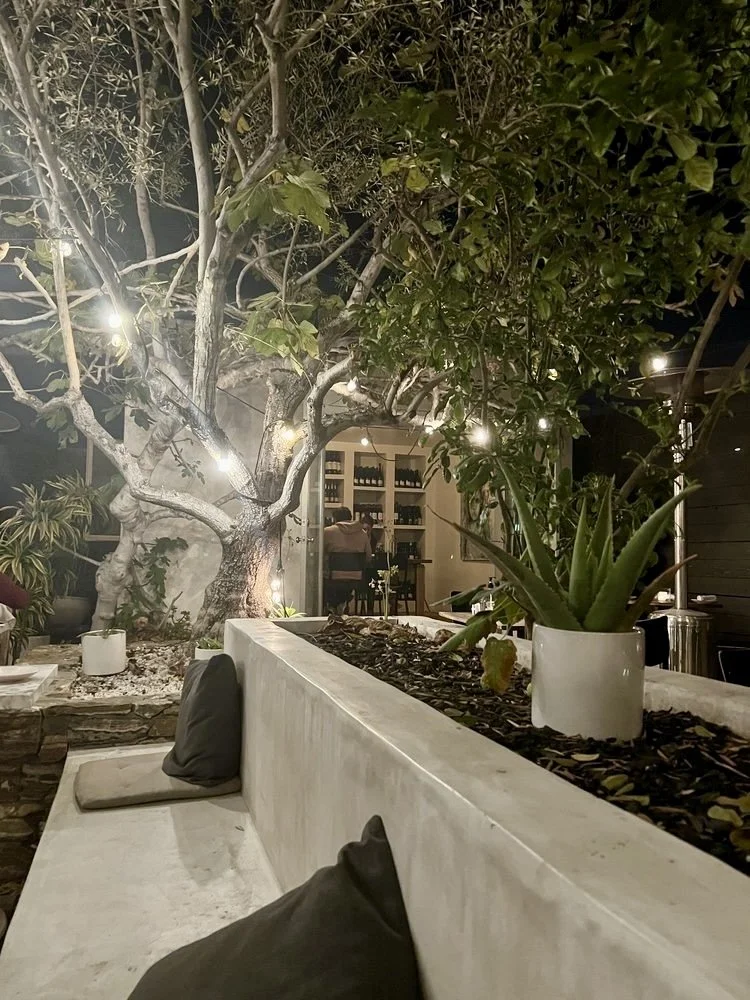 Rachael Goddard Design Studio Calabasas Nighttime outdoor dining area with a large tree decorated with string lights. There is a built-in concrete bench with black pillows, and a planter with a succulent. In the background