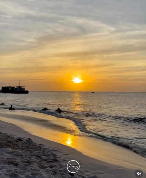 We heal through flow, not force.