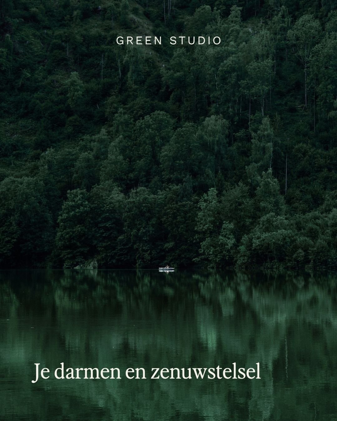 Je darmen en zenuwstelsel