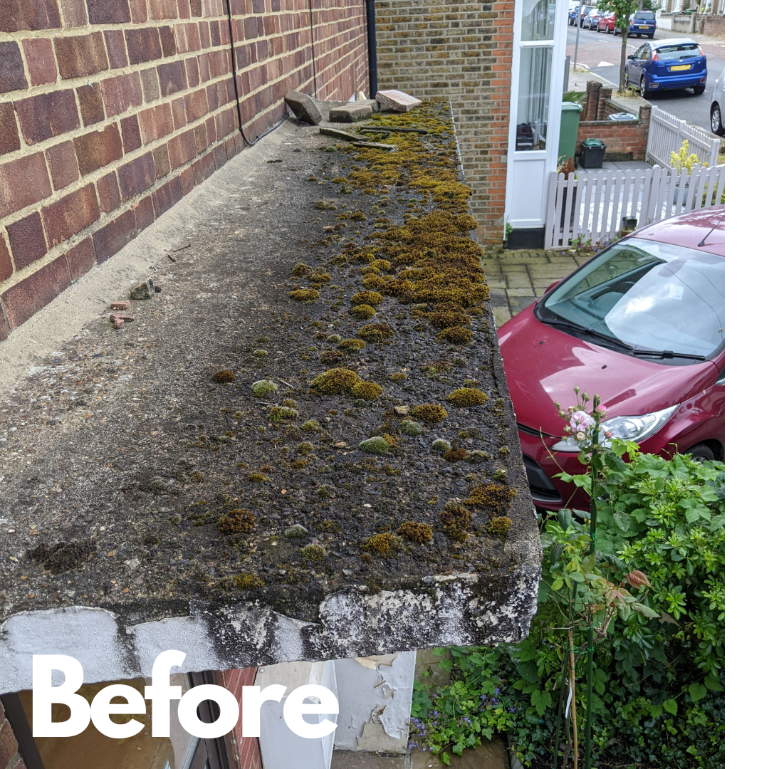 Front Porch Conservation 3.png