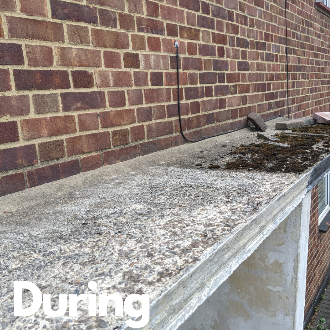 Front Porch Conservation 5.png