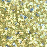 02255_00_col_gold.jpg