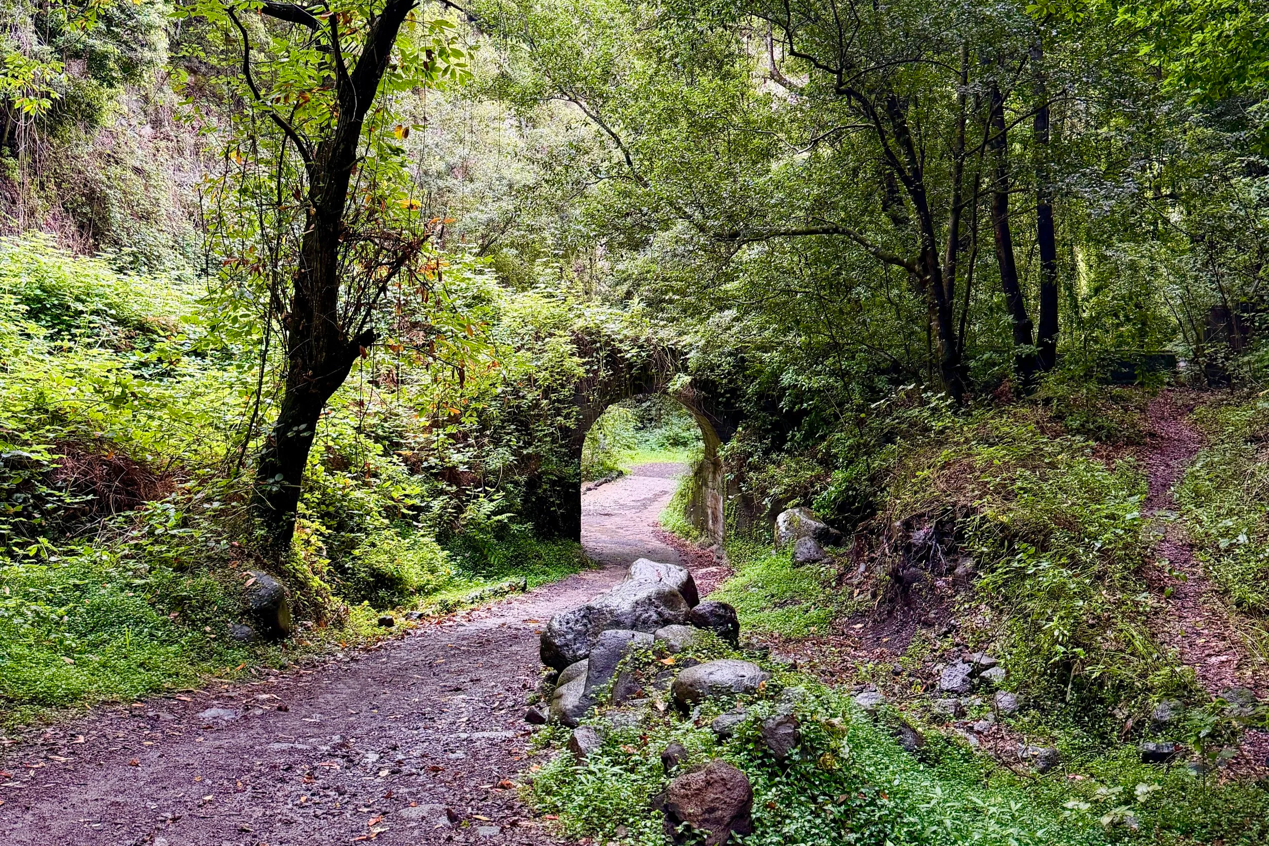 cubo de la galga hike la palma