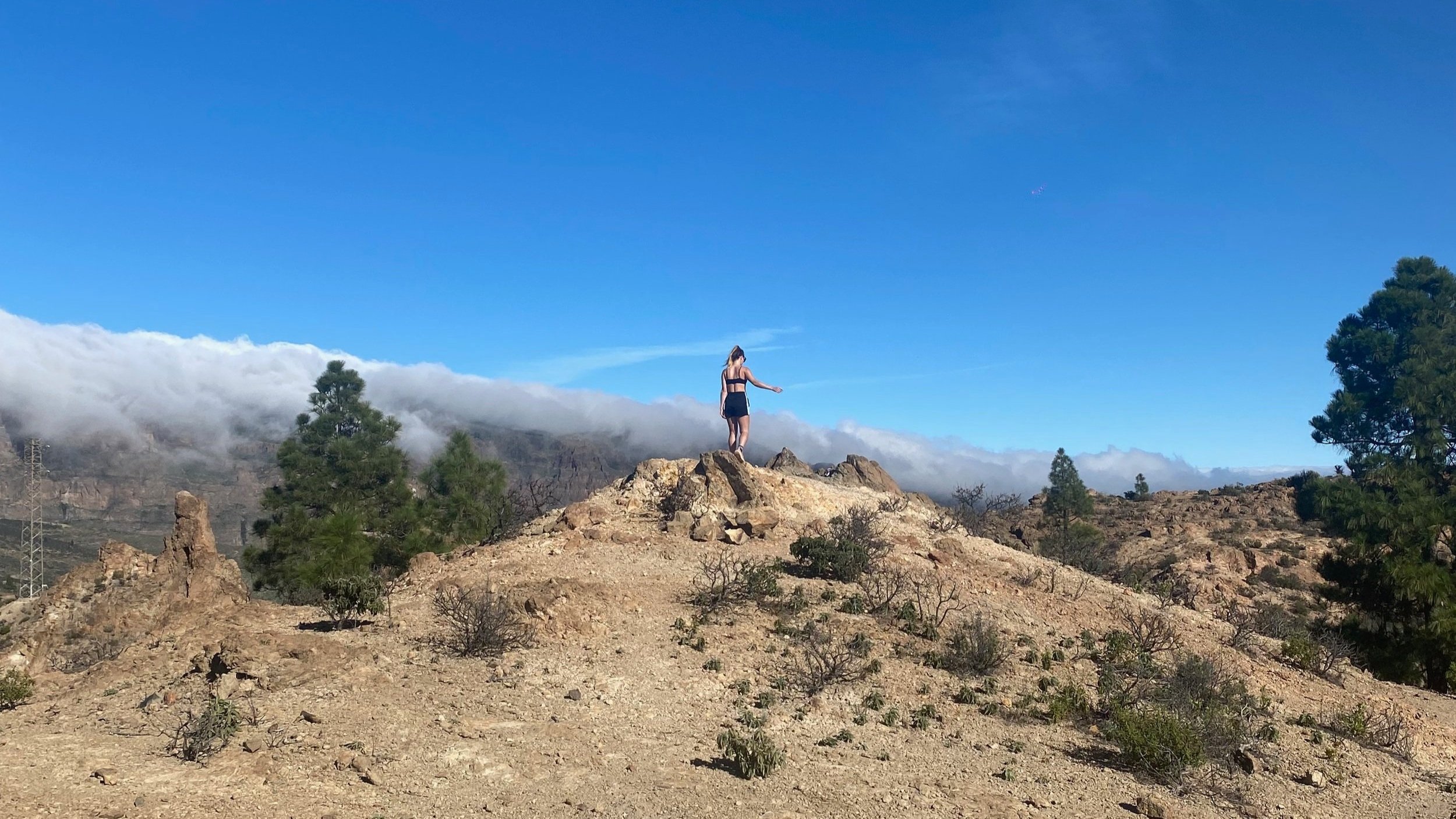 Gran Canaria vs Lanzarote: which Canary Island is best?