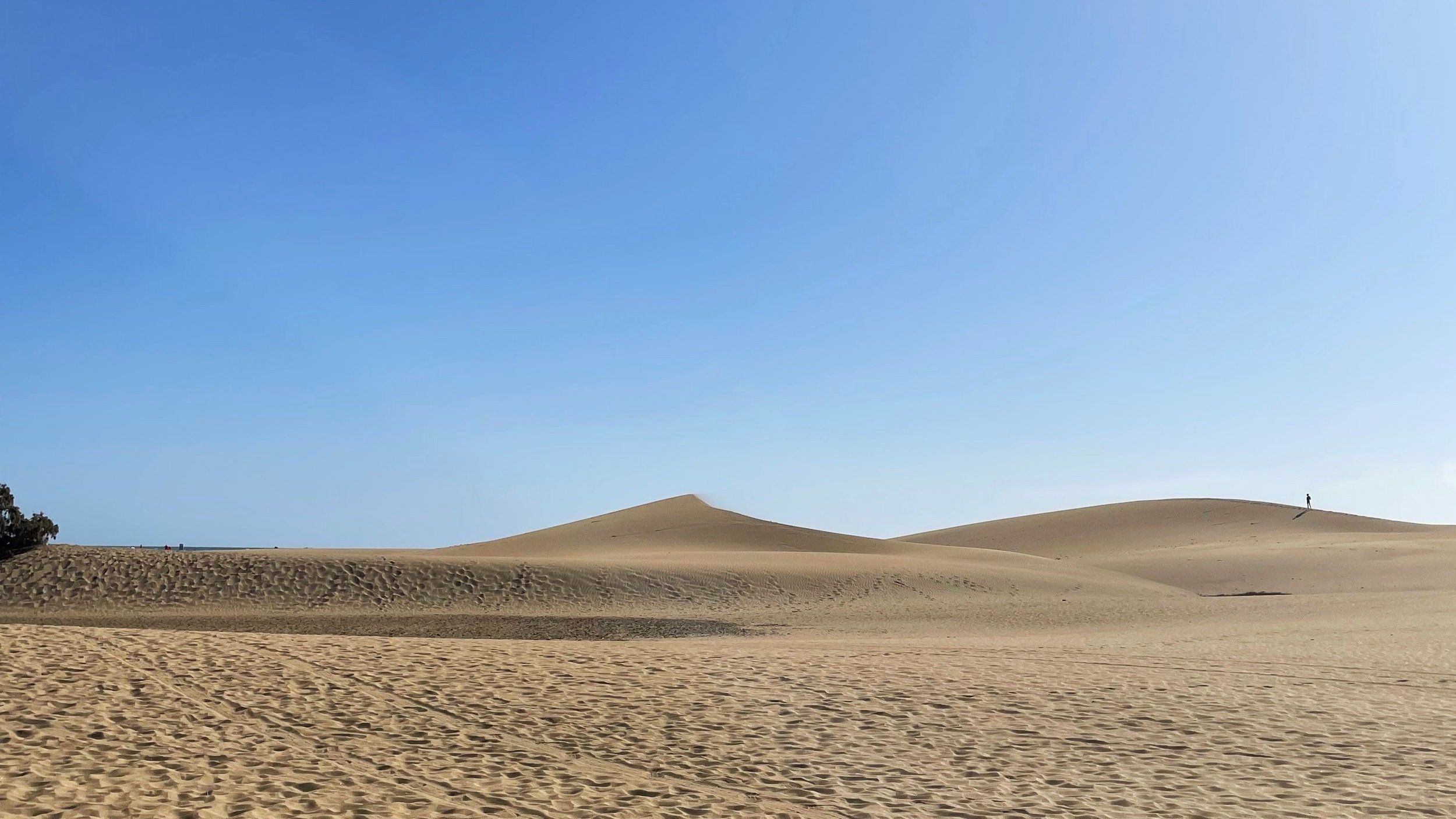 Three weeks in Gran Canaria, Canary Islands: Everything you need to know