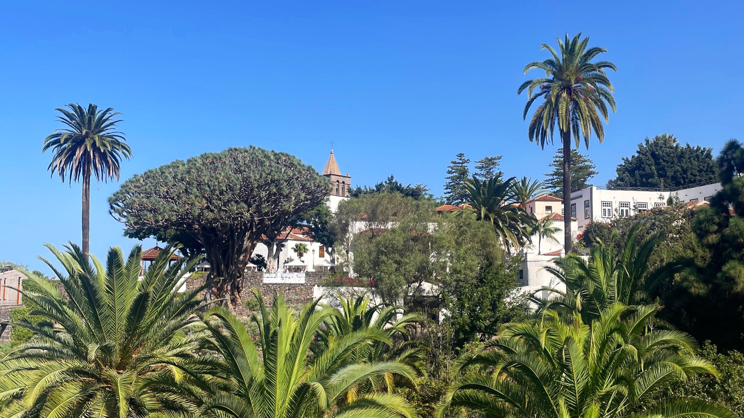 The best things to do in Tenerife