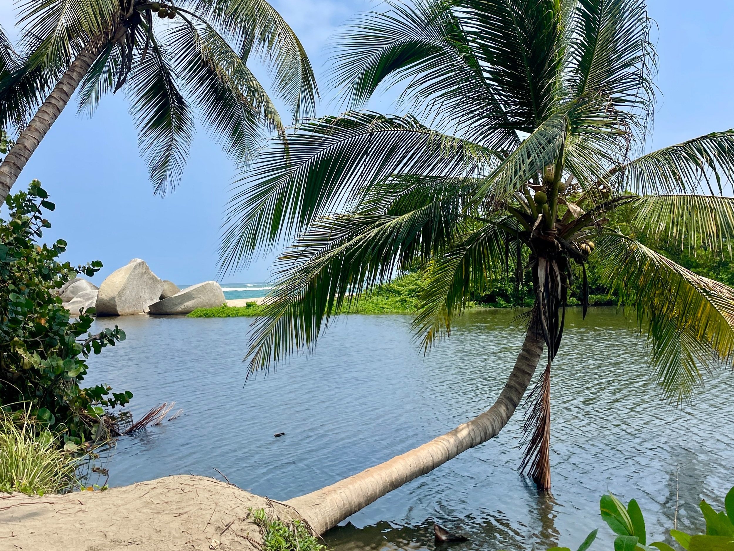 tayrona national park colombia